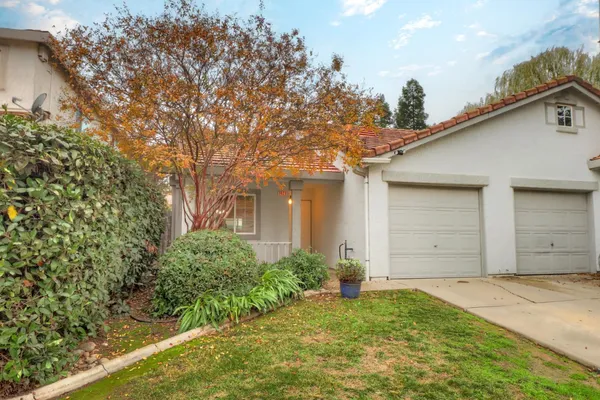 a house that has a tree in front of the house