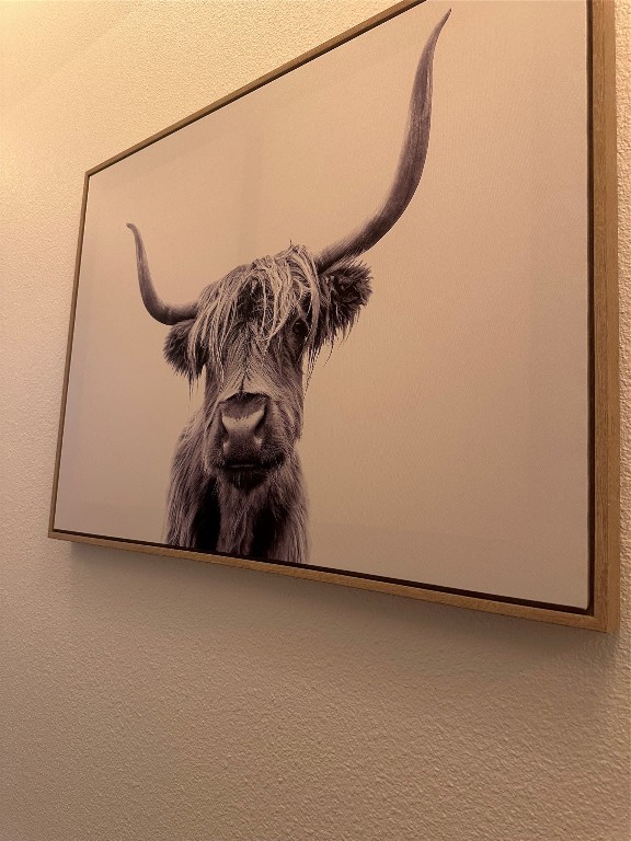 3206 White Post Drive, Unit B Cedar Park, TX 78613 - Photo 15 of 31