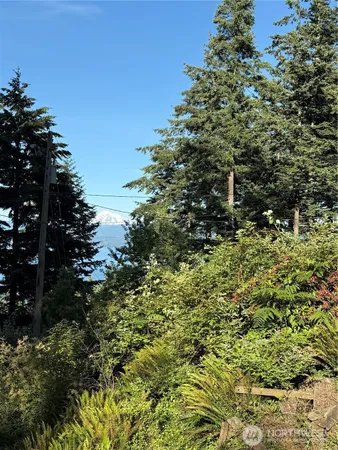 $115,000 | 2959 Dogwood Terrace, Lummi Island, WA 98262