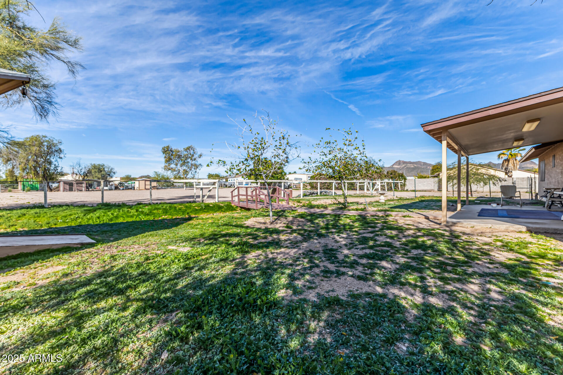 1008 North Meridian Drive Apache Junction, AZ 85120 - Photo 28 of 38 a view of yard with tree