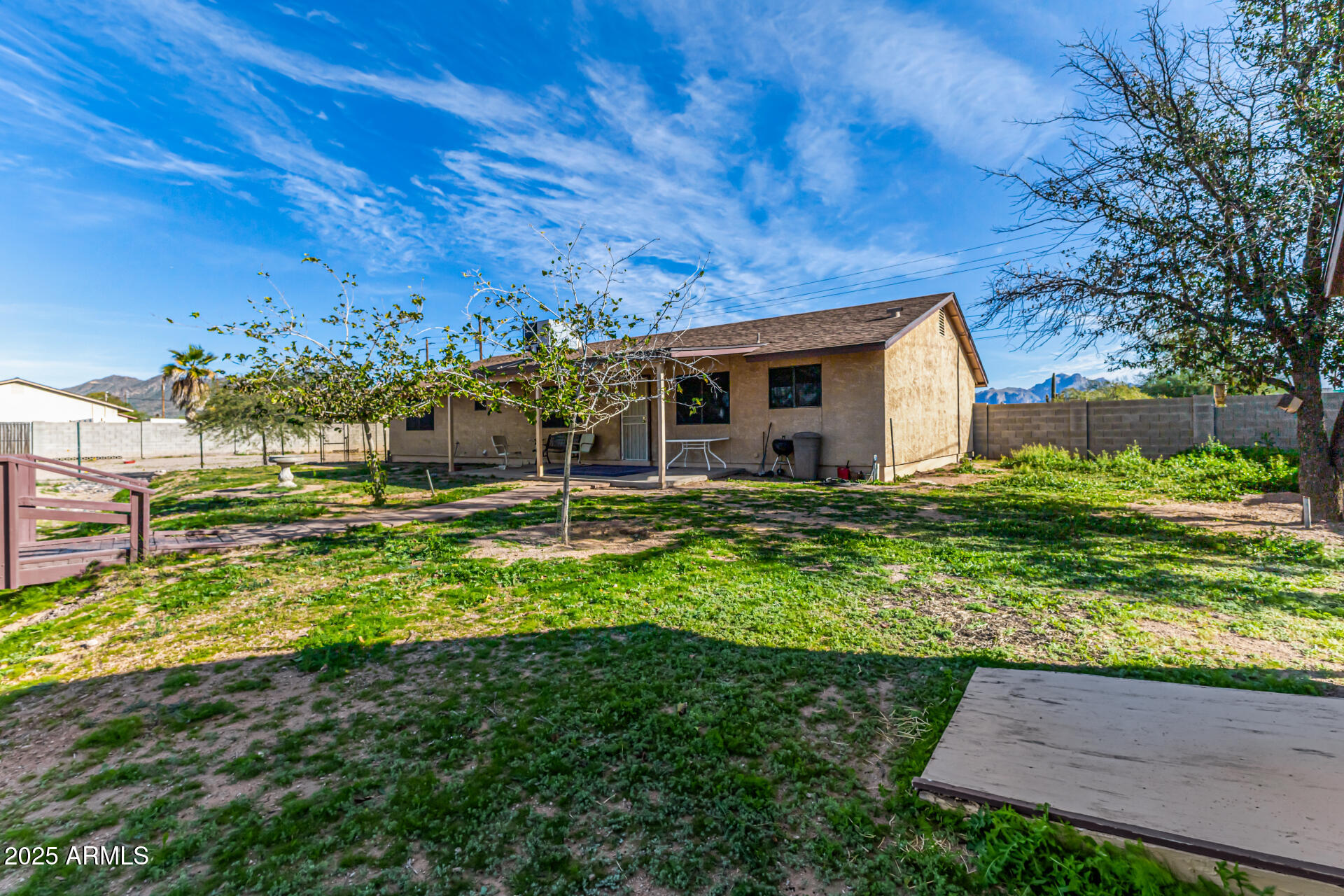1008 North Meridian Drive Apache Junction, AZ 85120 - Photo 30 of 38 a backyard of a house with lots of green space