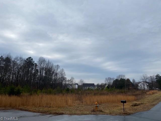 0 Holder Road Clemmons, NC 27012 - Photo 3 of 15