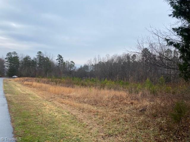 0 Holder Road Clemmons, NC 27012 - Photo 4 of 15