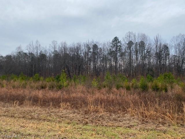 0 Holder Road Clemmons, NC 27012 - Photo 5 of 15