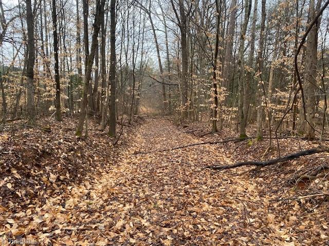 0 Holder Road Clemmons, NC 27012 - Photo 10 of 15