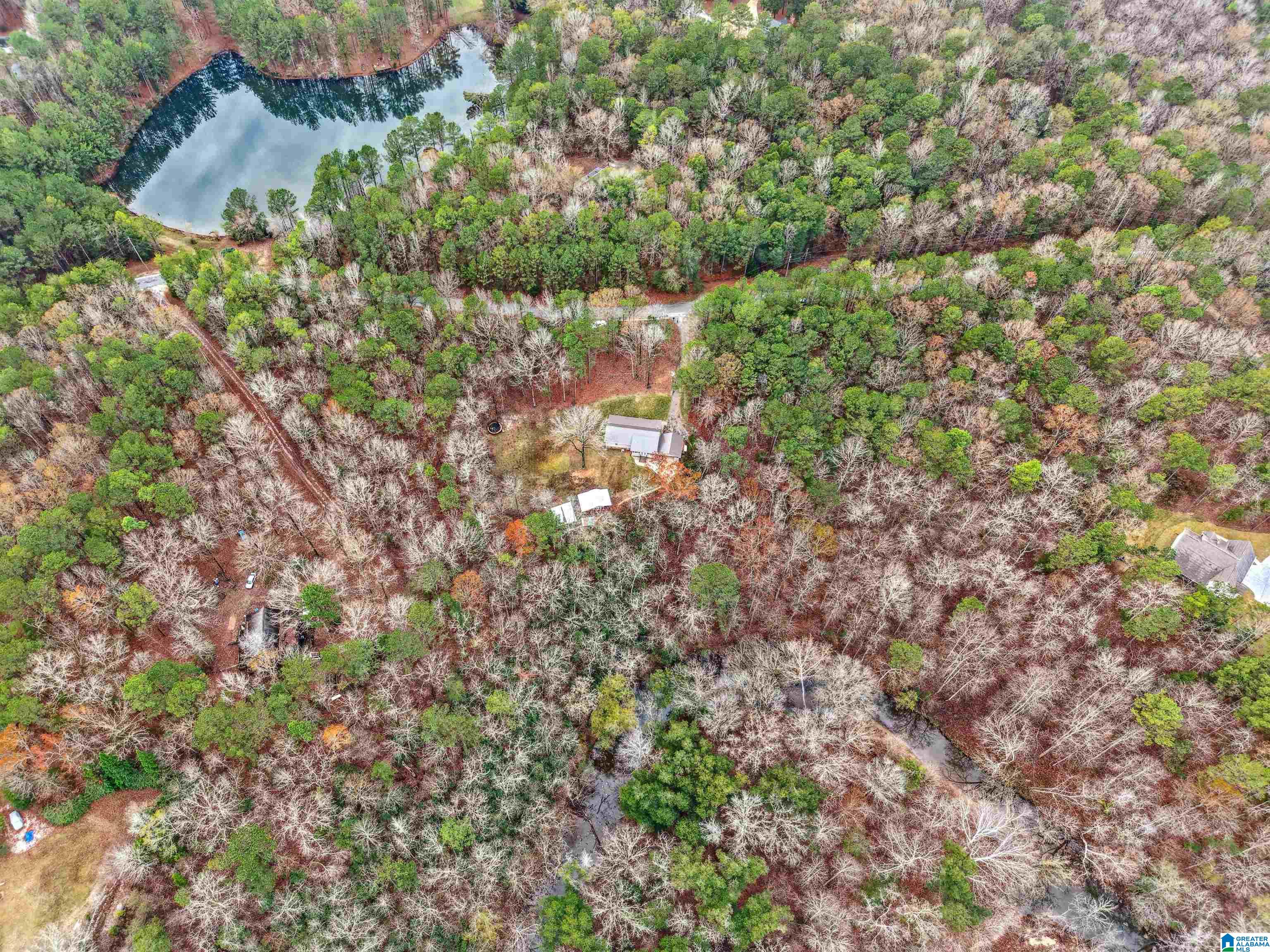 1071 Cornelia Road Brierfield, AL 35035 - Photo 20 of 48