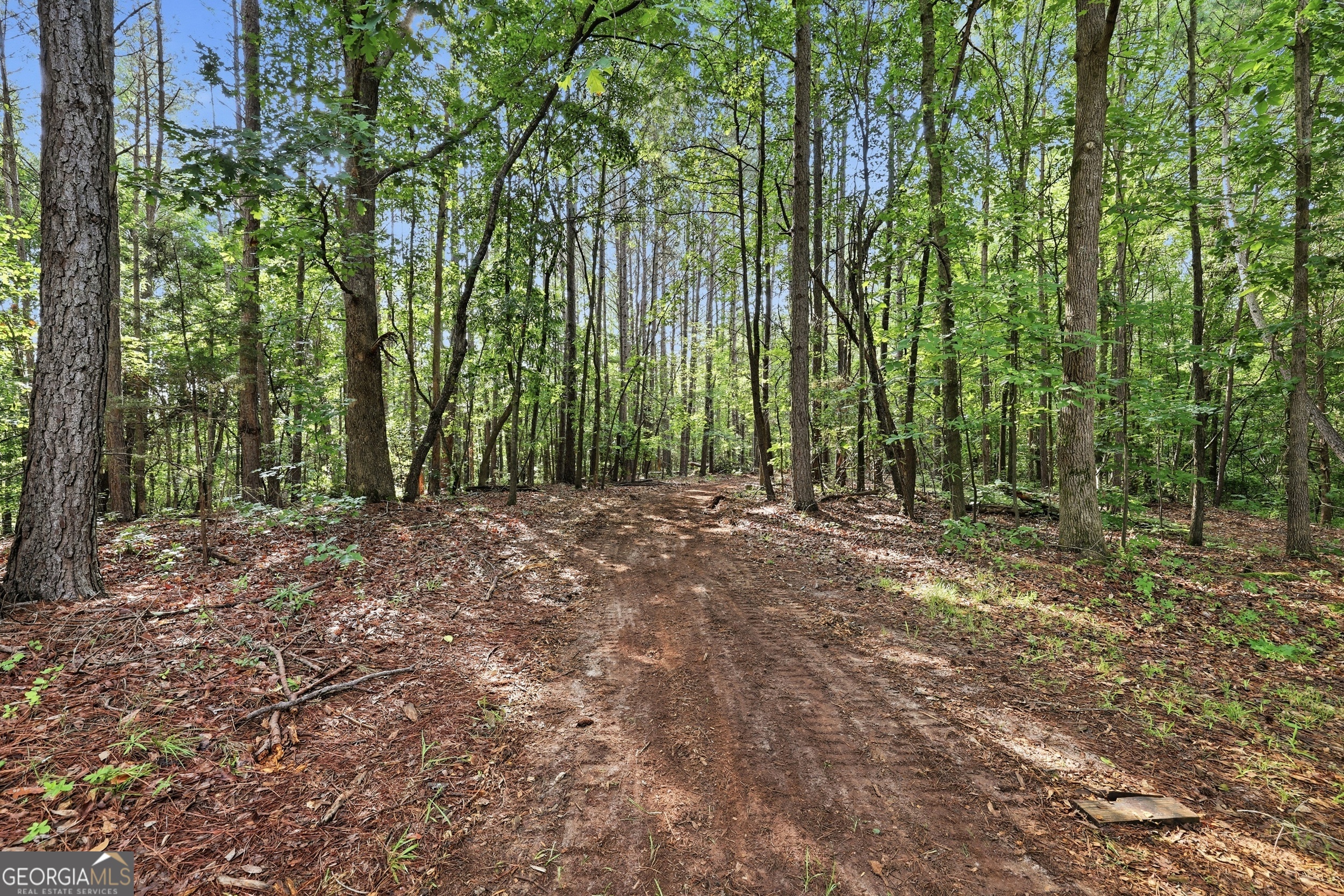 65 Watson Road Martin, GA 30557 - Photo 48 of 51