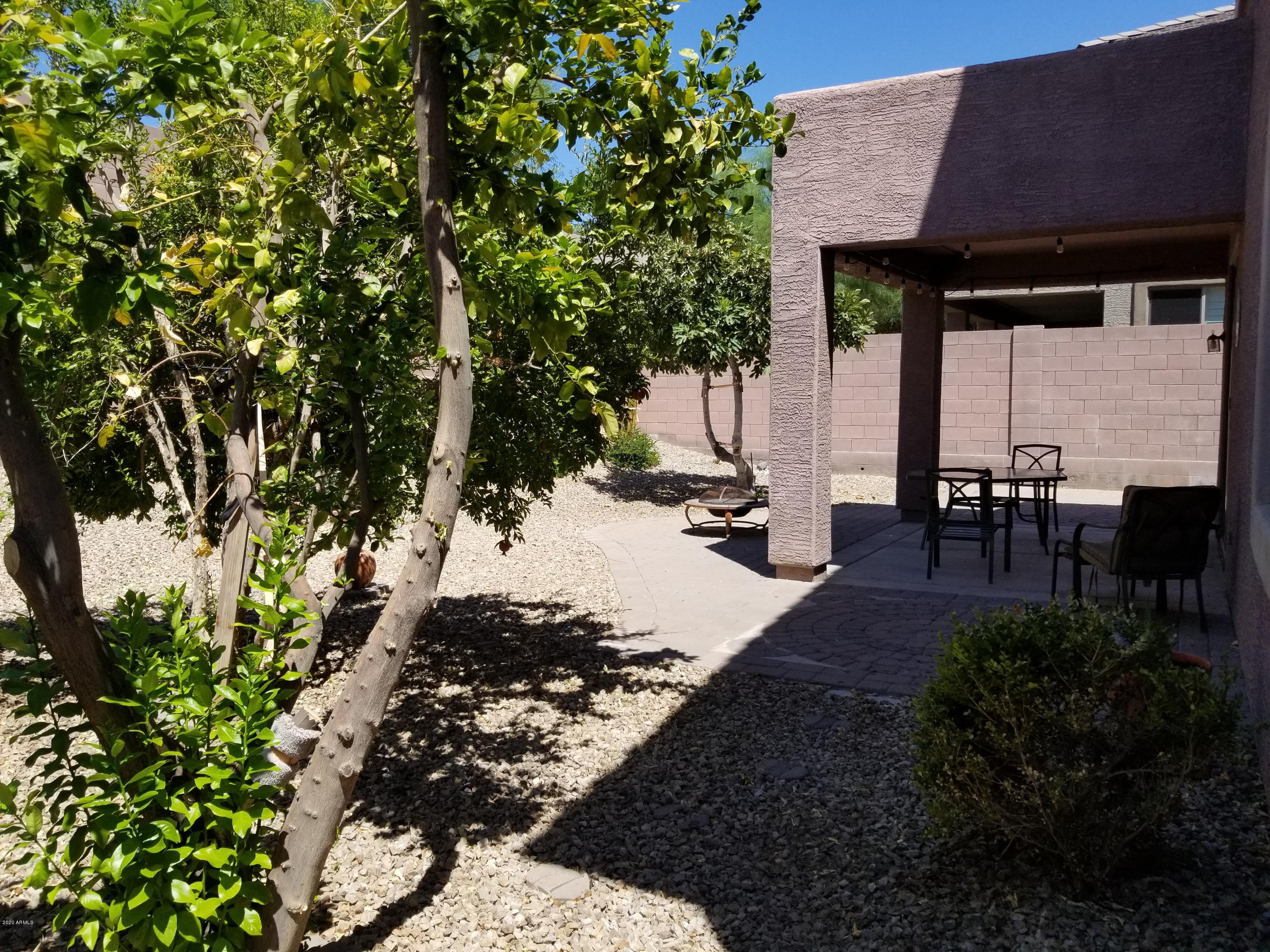 2436 West Eagle Feather Road Phoenix, AZ 85085 - Photo 38 of 48 new 2020 pictures 069 - Copy