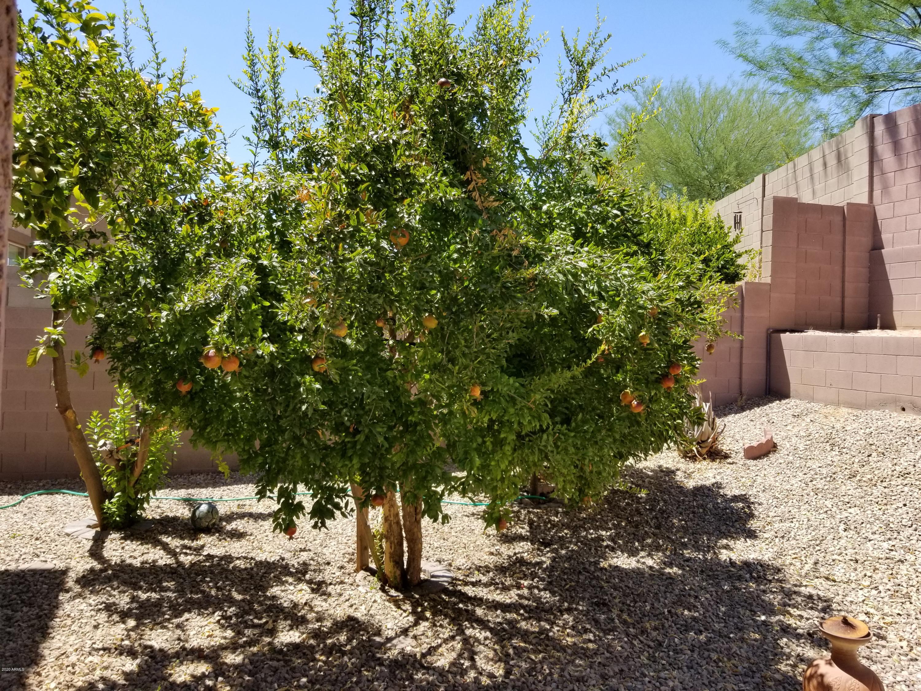 2436 West Eagle Feather Road Phoenix, AZ 85085 - Photo 41 of 48 new 2020 pictures 067