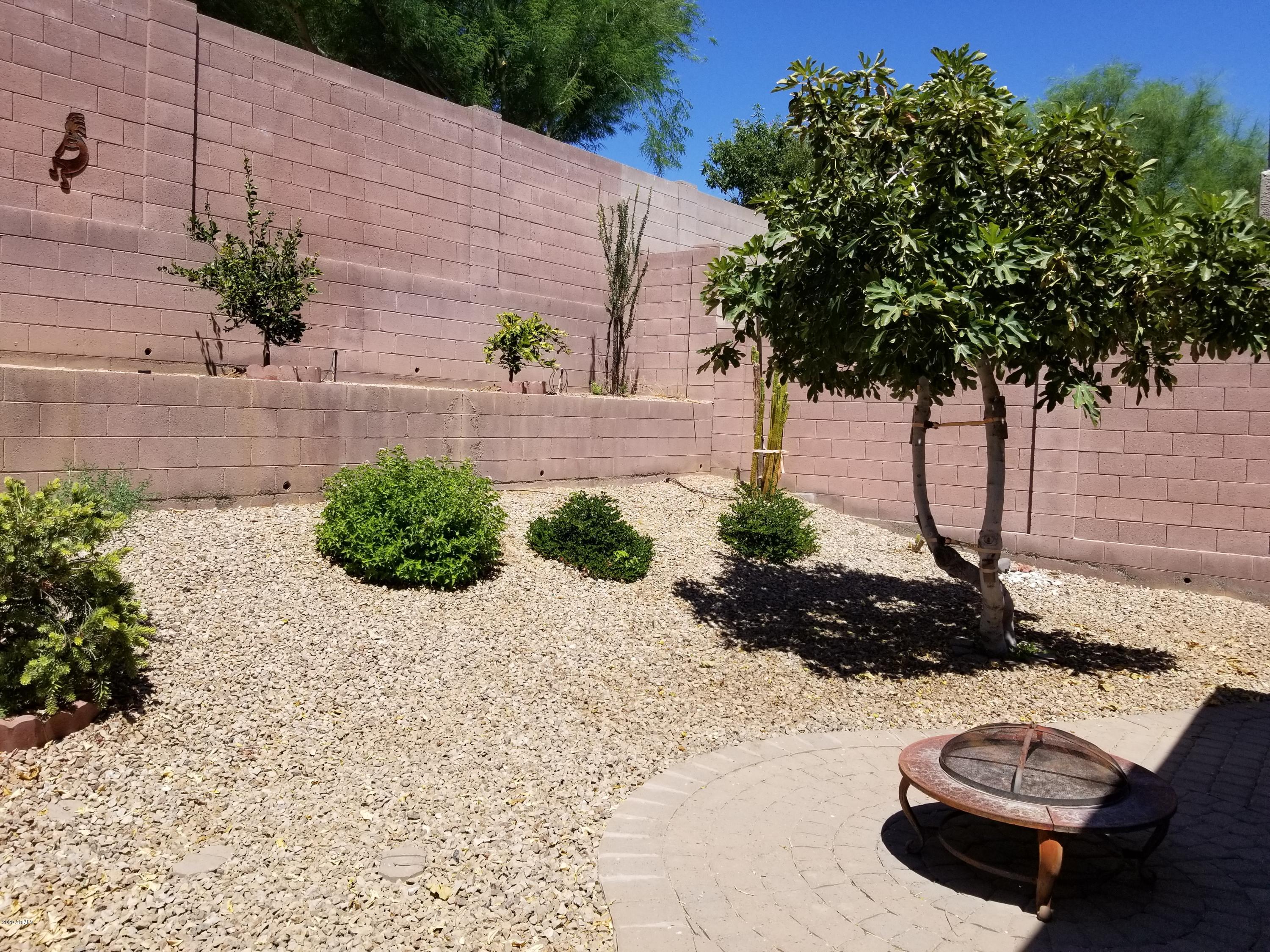 2436 West Eagle Feather Road Phoenix, AZ 85085 - Photo 43 of 48 new 2020 pictures 072 - Copy