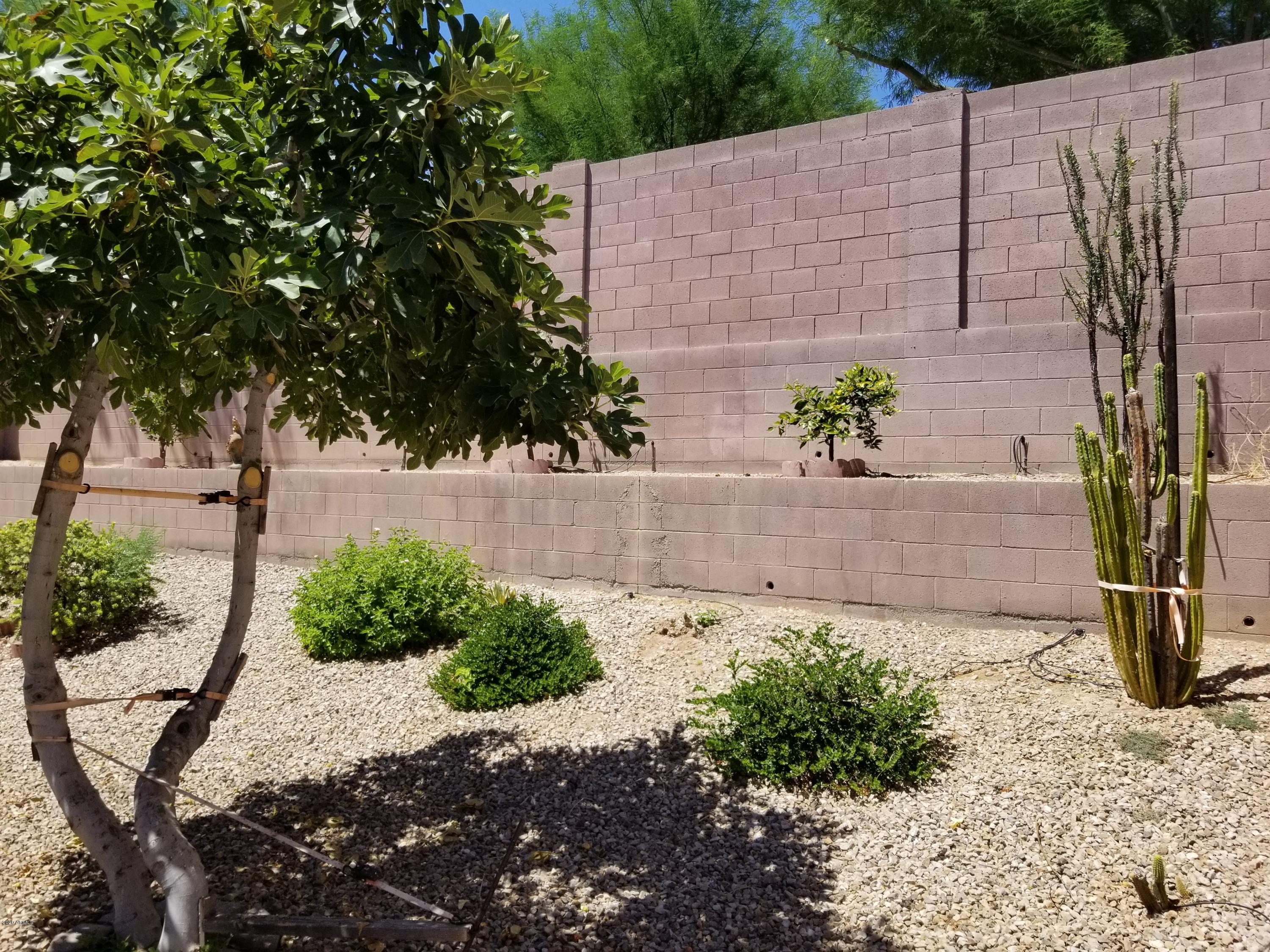 2436 West Eagle Feather Road Phoenix, AZ 85085 - Photo 44 of 48 new 2020 pictures 077 - Copy