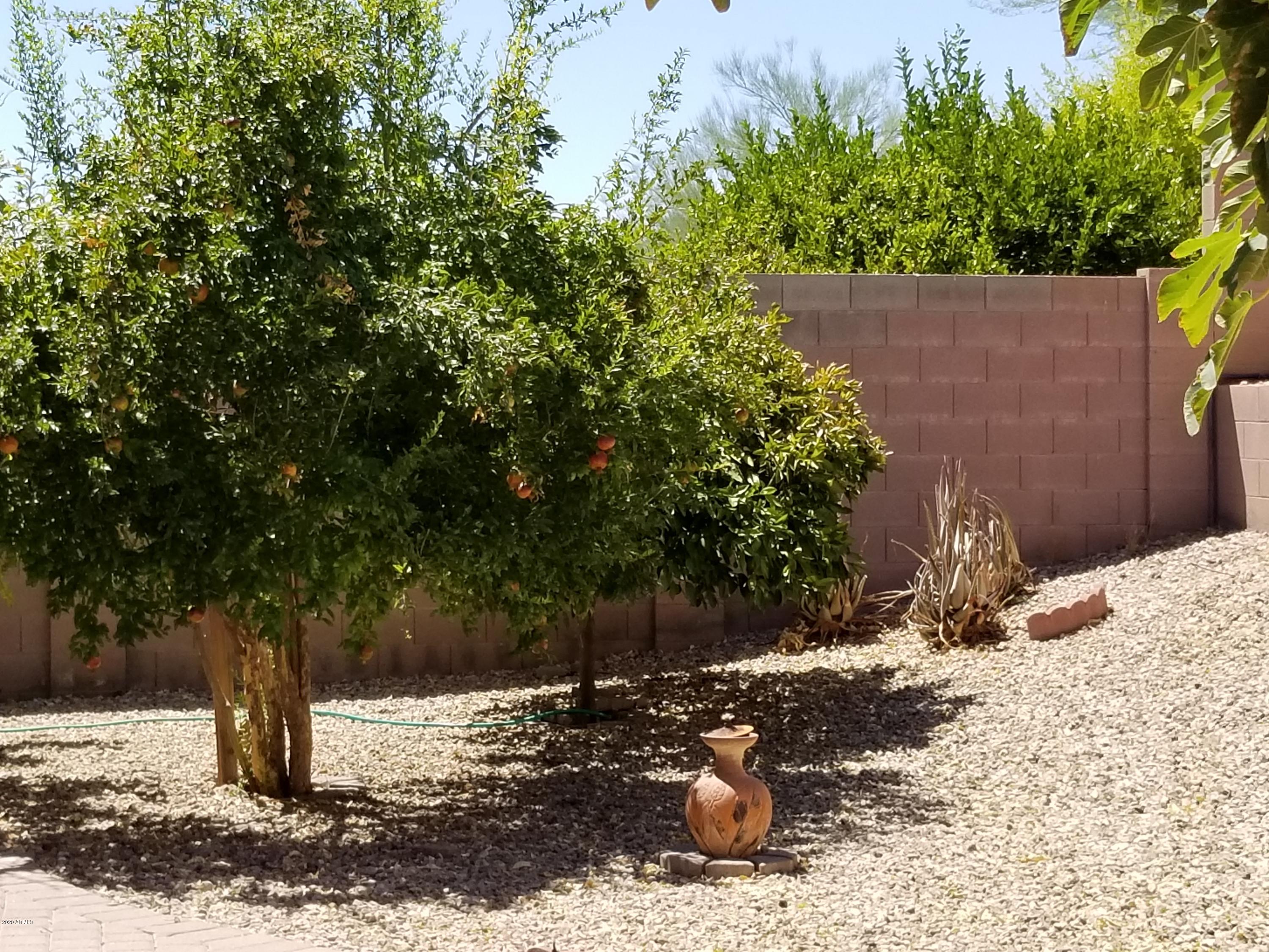 2436 West Eagle Feather Road Phoenix, AZ 85085 - Photo 45 of 48 new 2020 pictures 078 - Copy