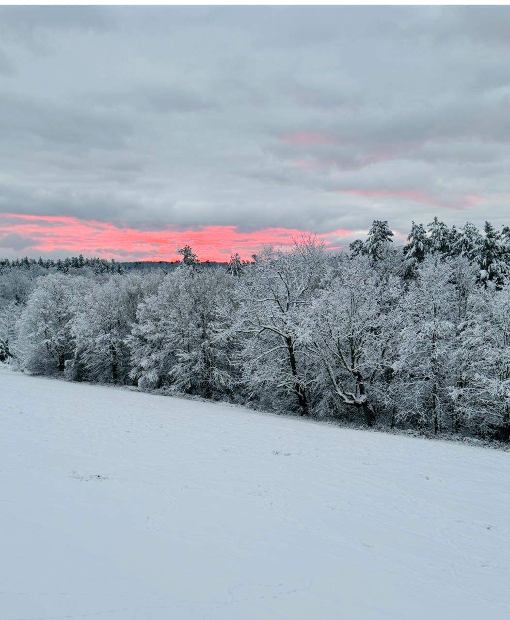 514 Robinson Road Shrewsbury, VT 05738 - Photo 37 of 39