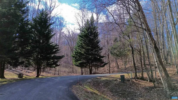 a view of a backyard with large trees