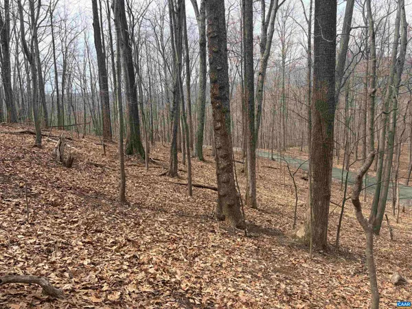 a backyard of a house with lots of trees