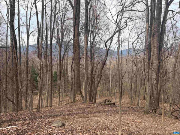 a view of a backyard of the house