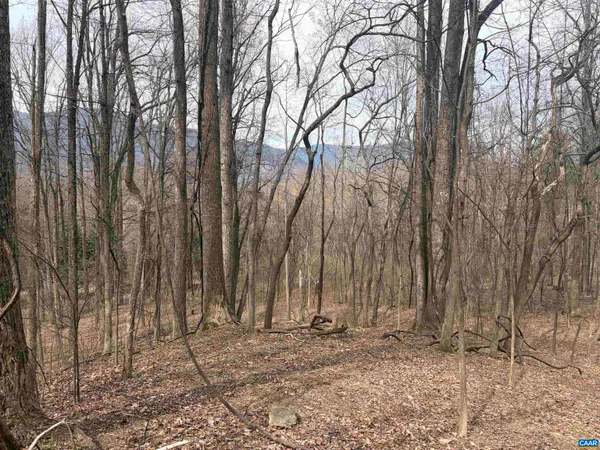 a backyard of a house with lots of trees