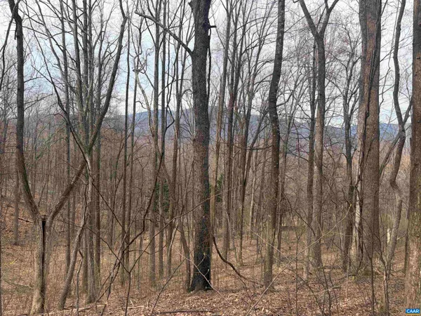 a view of backyard with trees