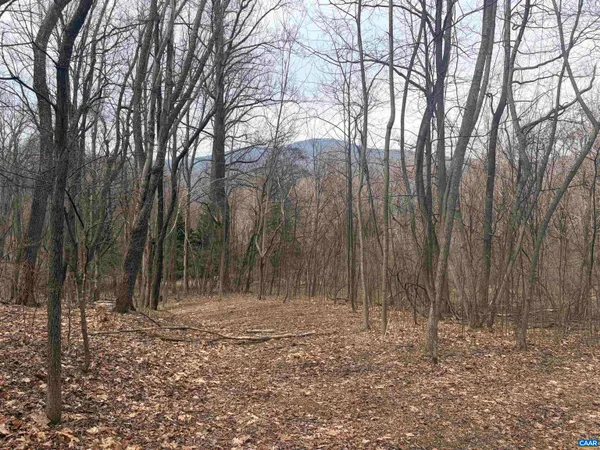 a view of a dry yard