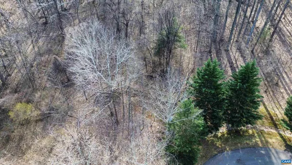a view of yard with trees