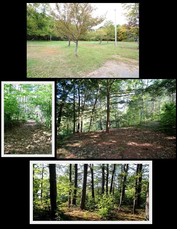 331 Lockes Village Road Wendell, MA 01379 - Photo 40 of 41 Gallery Image 40