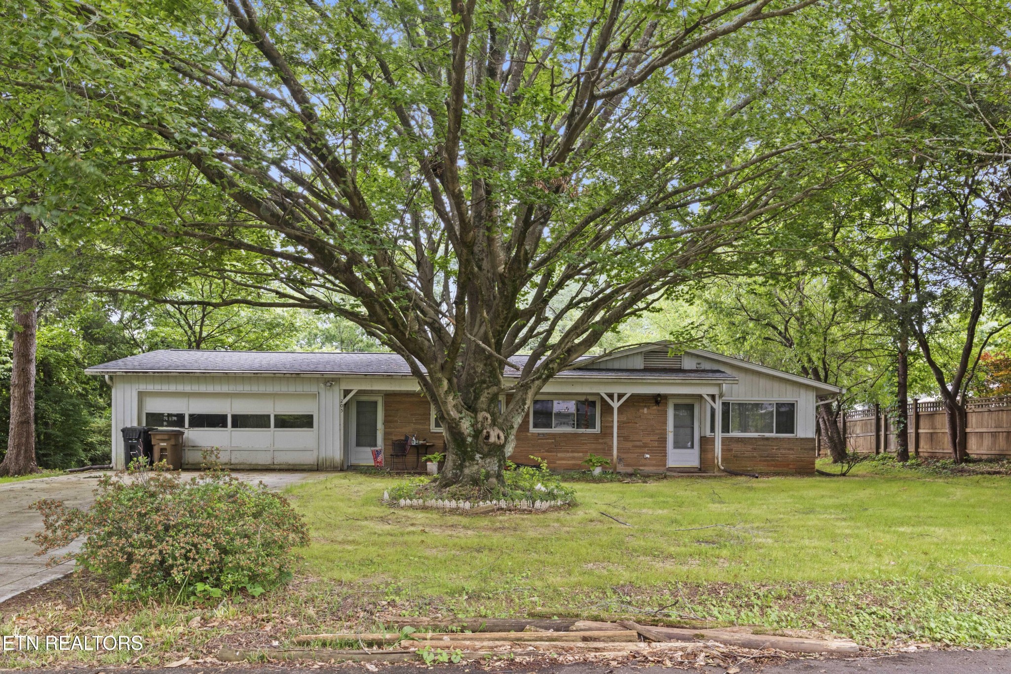205 Newcastle Road Knoxville, TN 37909 - Photo 1 of 23 Gallery Image 1