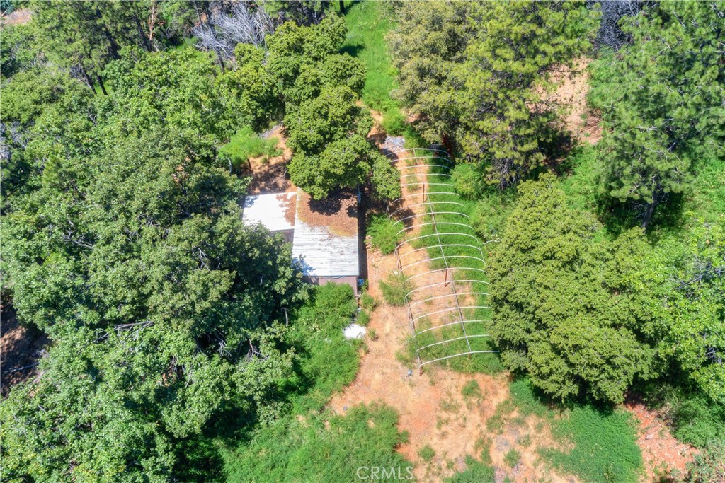 13545 Surcease Mine Road Oroville, CA 95965 - Photo 18 of 28 a backyard of a house with a yard and outdoor seating
