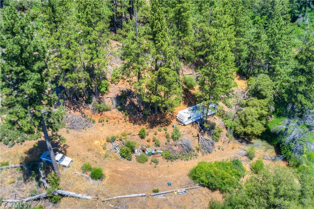 13545 Surcease Mine Road Oroville, CA 95965 - Photo 27 of 28 a view of a garden with plants