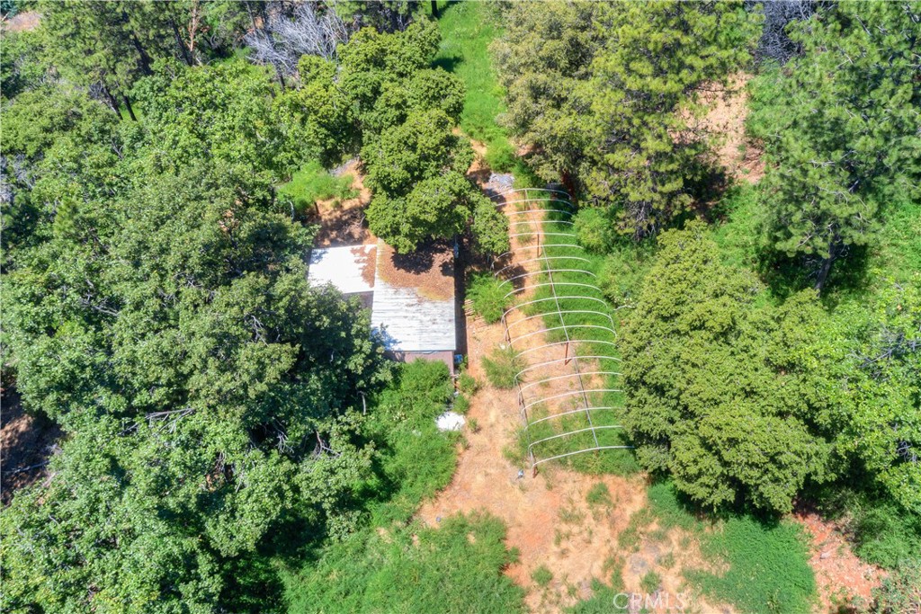 13545 Surcease Mine Road Oroville, CA 95965 - Photo 9 of 28 a backyard of a house with a yard and outdoor seating