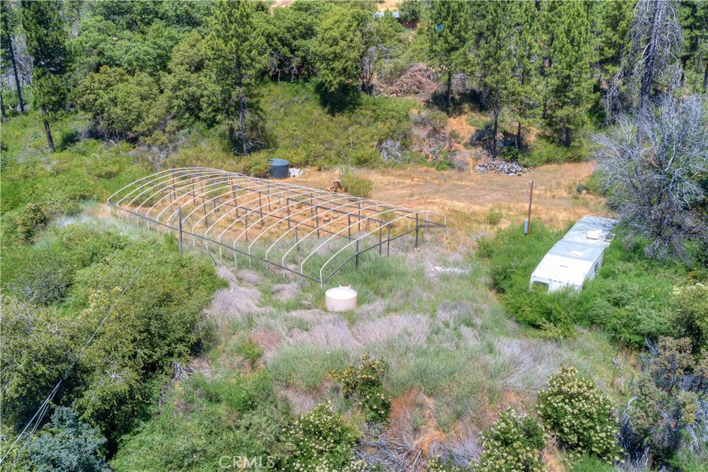 13545 Surcease Mine Road Oroville, CA 95965 - Photo 10 of 28 a view of a tree with yard