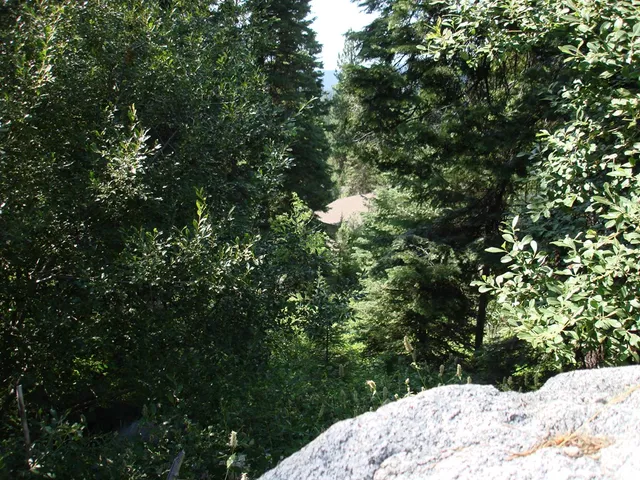 $220,000 | Lot 68 Aspen Ridge Lane, Unit 68, McCall, ID 83638