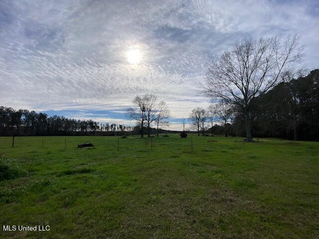 3010 Union Church Road Magnolia, MS 39652 - Photo 13 of 25 IMG_8372