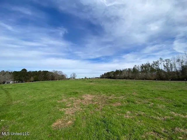 $264,900 | 3010 Union Church Road, Magnolia, MS 39652