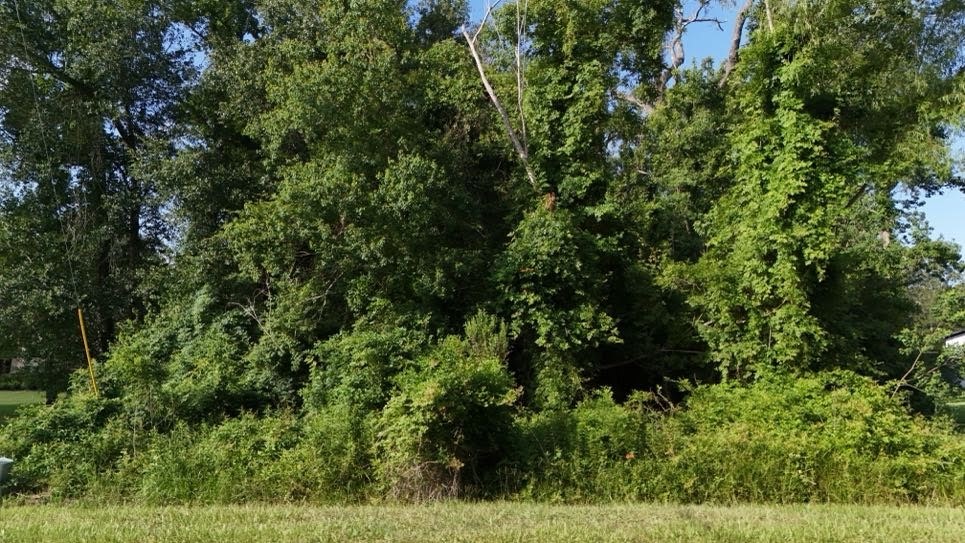 0 Riverview Crossing Huffman, TX 77336 - Photo 11 of 11 a view of a garden