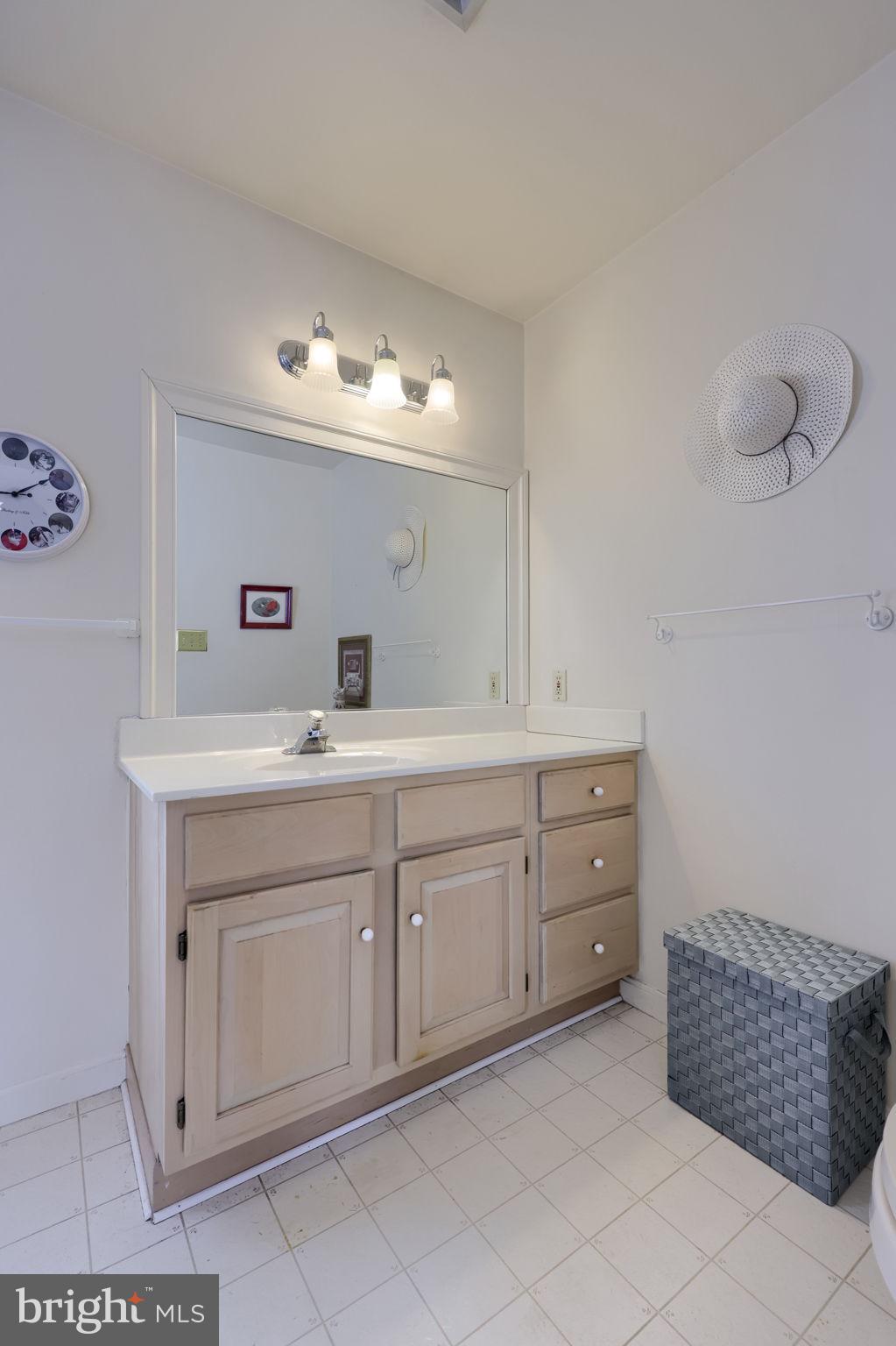 3 Amberly Way Lititz, PA 17543 - Photo 22 of 35 Primary bath