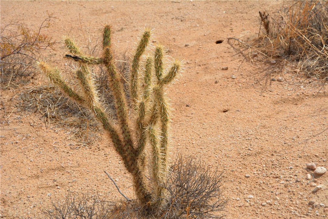 207-35-005 South Arlington Road Yucca, AZ 86438 - Photo 31 of 92