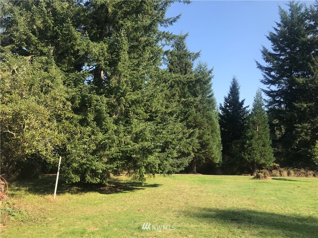 692 Burnt Ridge Road Onalaska, WA 98570 - Photo 2 of 5 Gallery Image 2