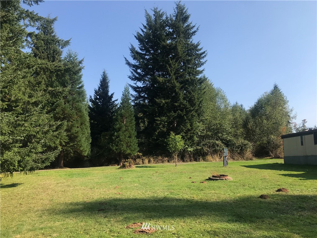 692 Burnt Ridge Road Onalaska, WA 98570 - Photo 4 of 5 Gallery Image 4