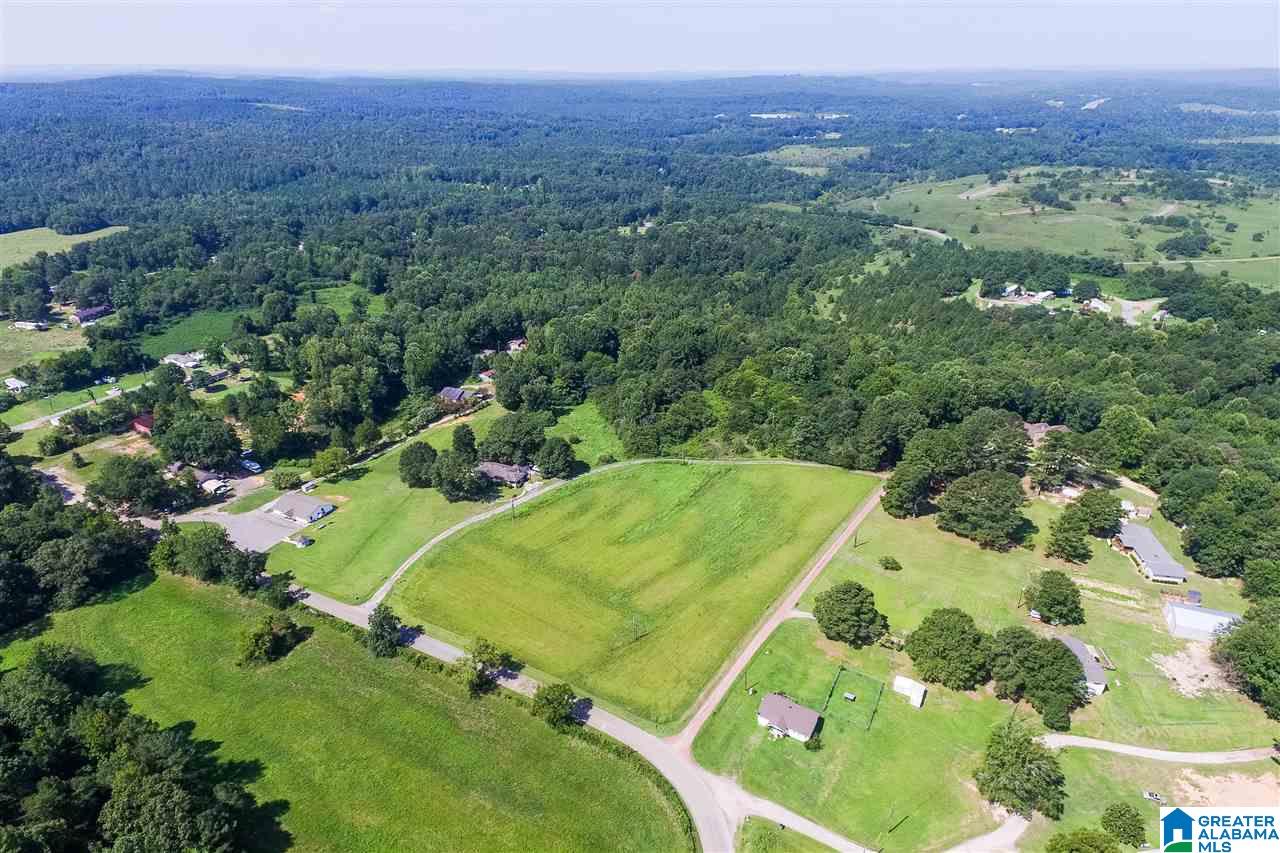 2381 Stella Lockard Road Empire, AL 35063 - Photo 42 of 43