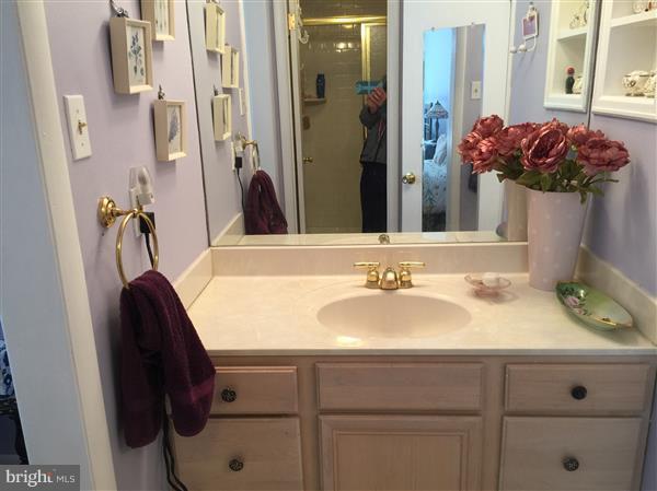 110 Cross Keys Road, Unit R110C Baltimore, MD 21210 - Photo 17 of 27 Bath