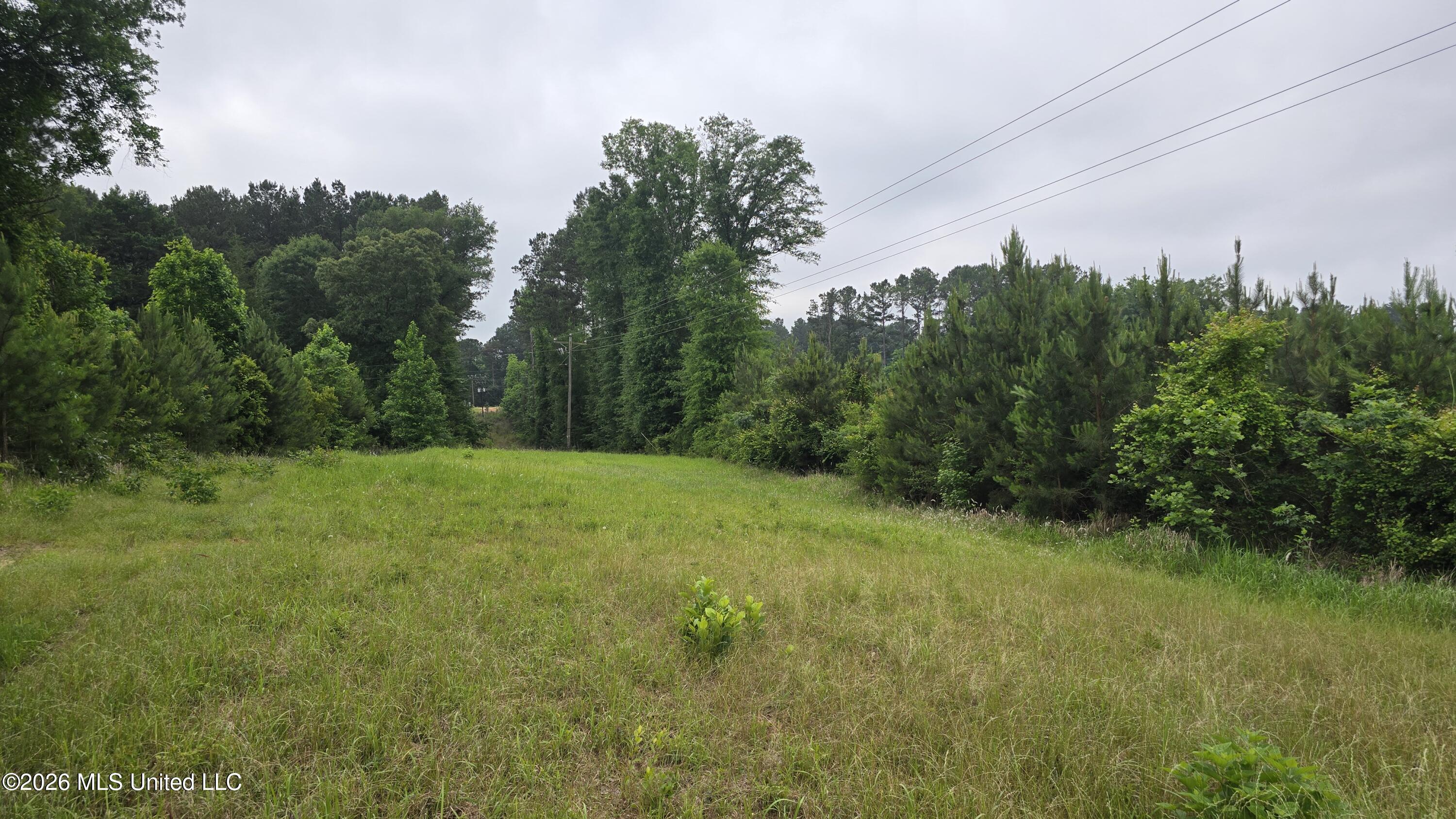 189 Co Road Bay Springs, MS 39422 - Photo 11 of 61 20260513_103138