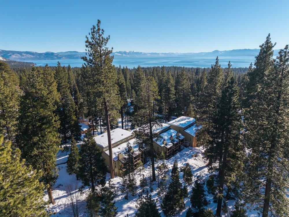 a view of a lake in middle of forest