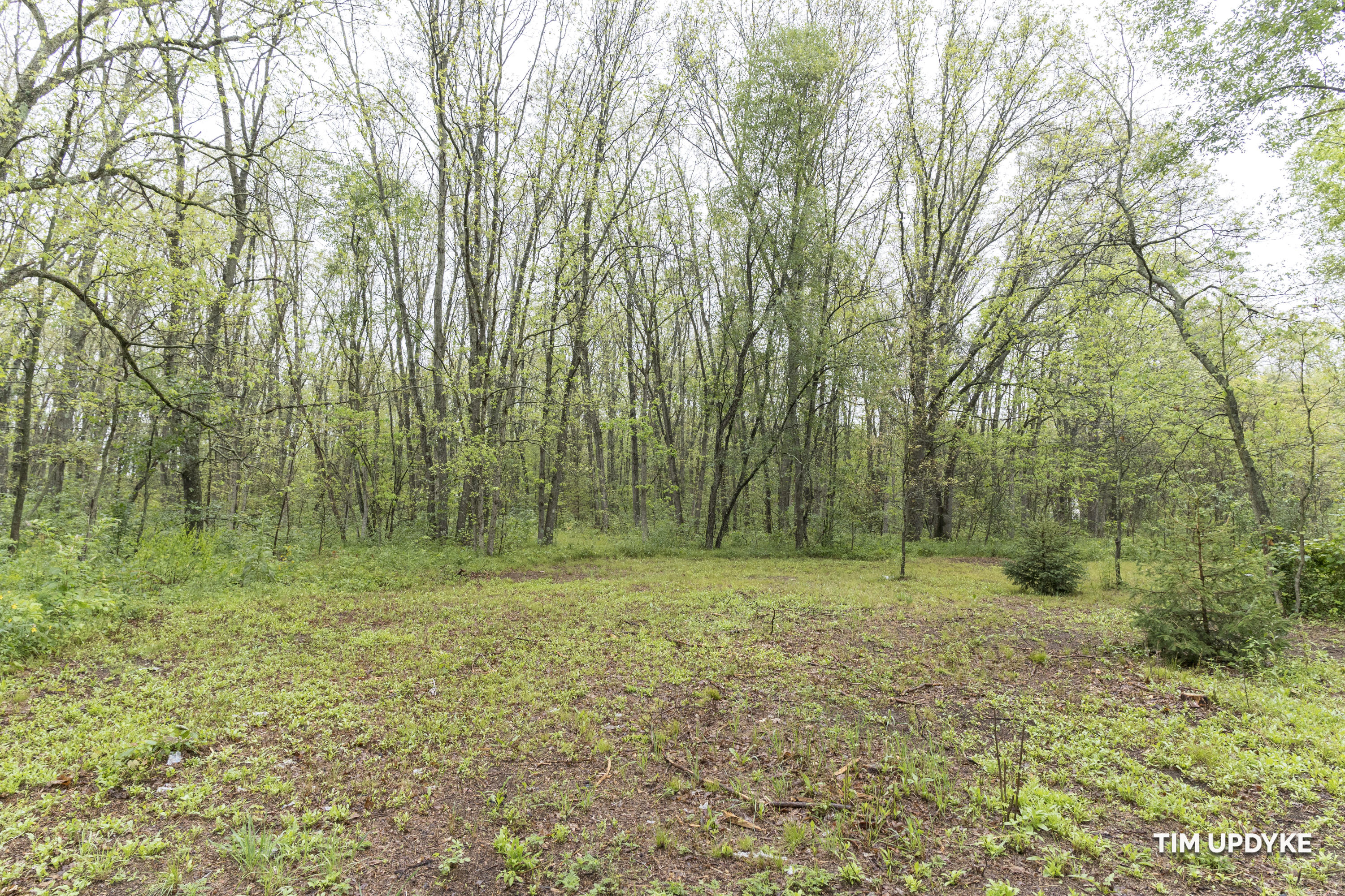 7326 Sweeter Road Twin Lake, MI 49457 - Photo 8 of 36 DSC06418