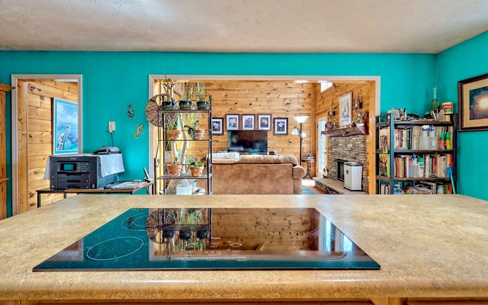 4 Dancing Trees Trail Morganton, GA 30560 - Photo 12 of 67 Additional View