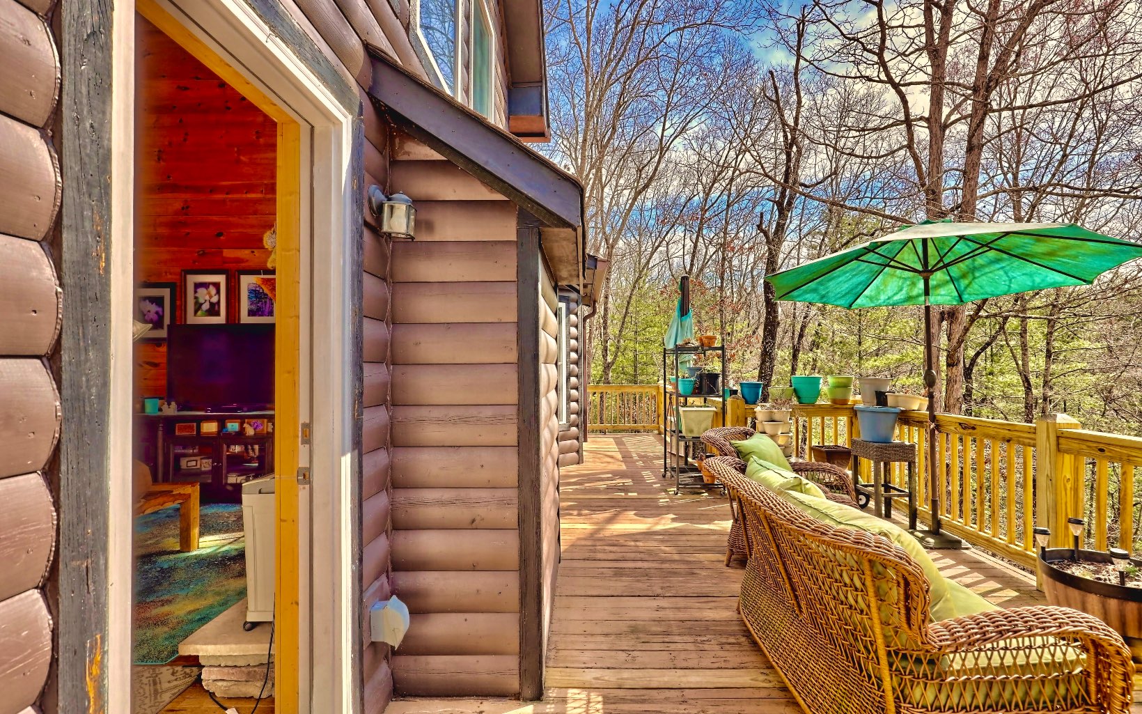 4 Dancing Trees Trail Morganton, GA 30560 - Photo 29 of 67 Additional View