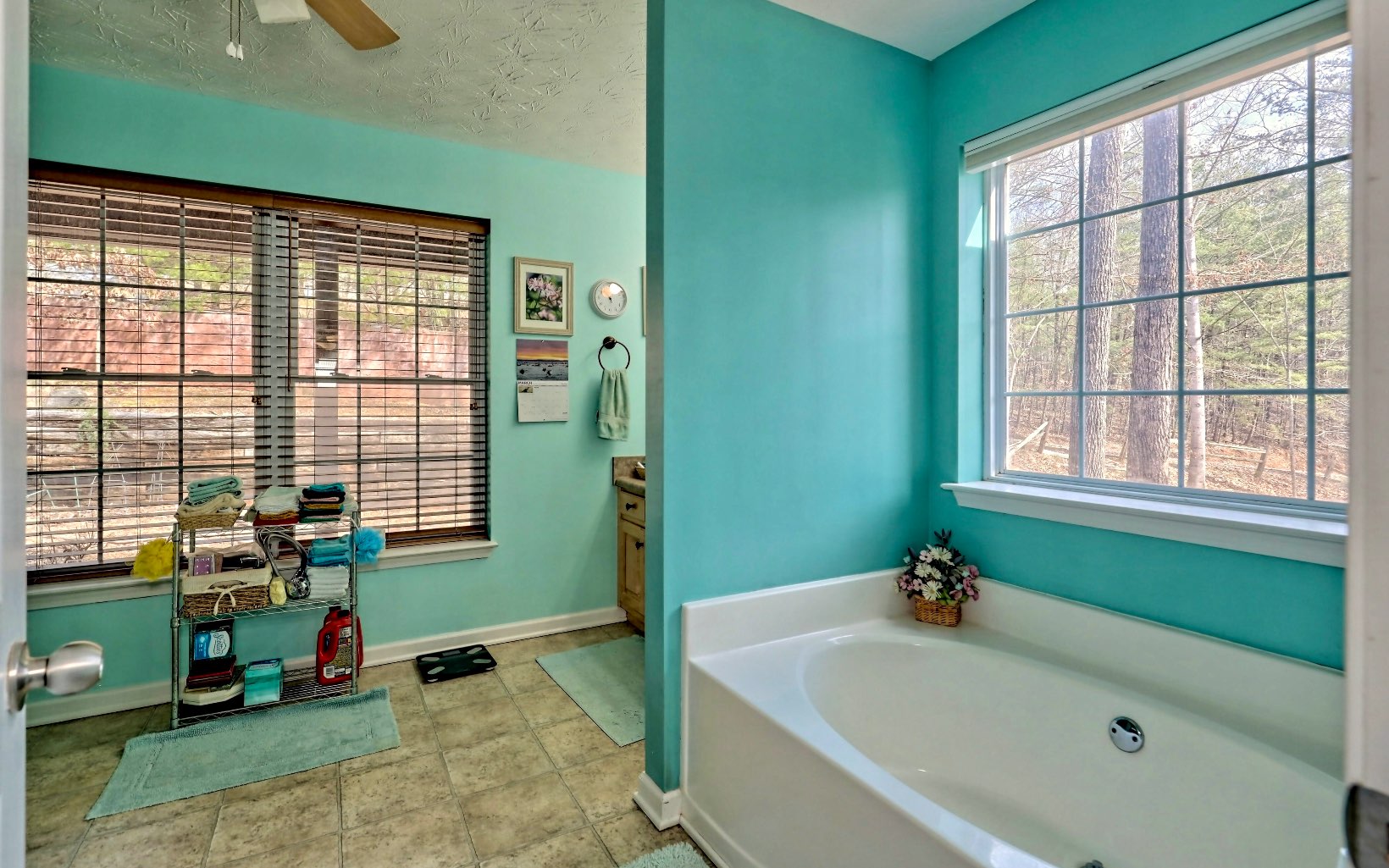 4 Dancing Trees Trail Morganton, GA 30560 - Photo 39 of 67 Additional View