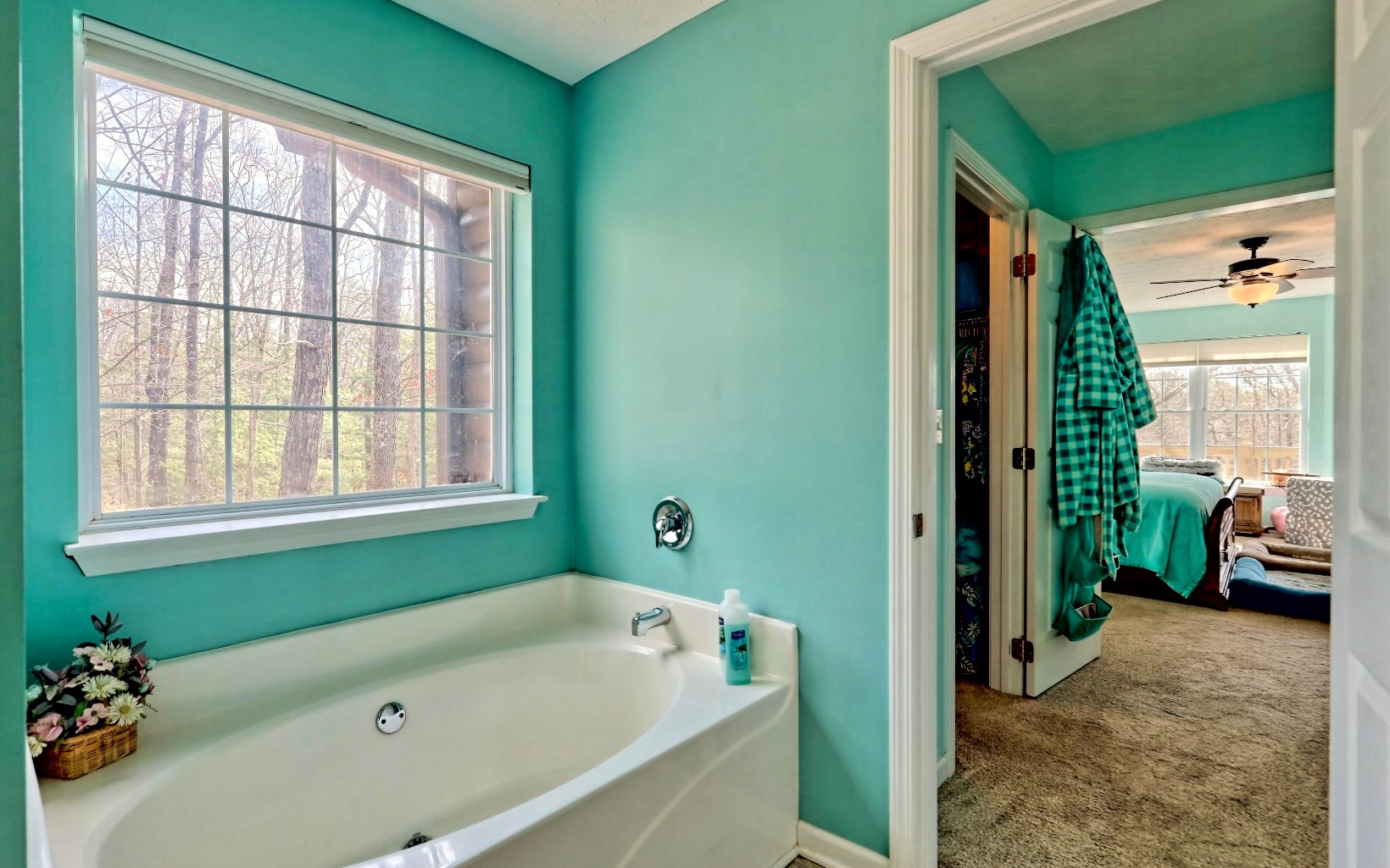 4 Dancing Trees Trail Morganton, GA 30560 - Photo 42 of 67 Additional View