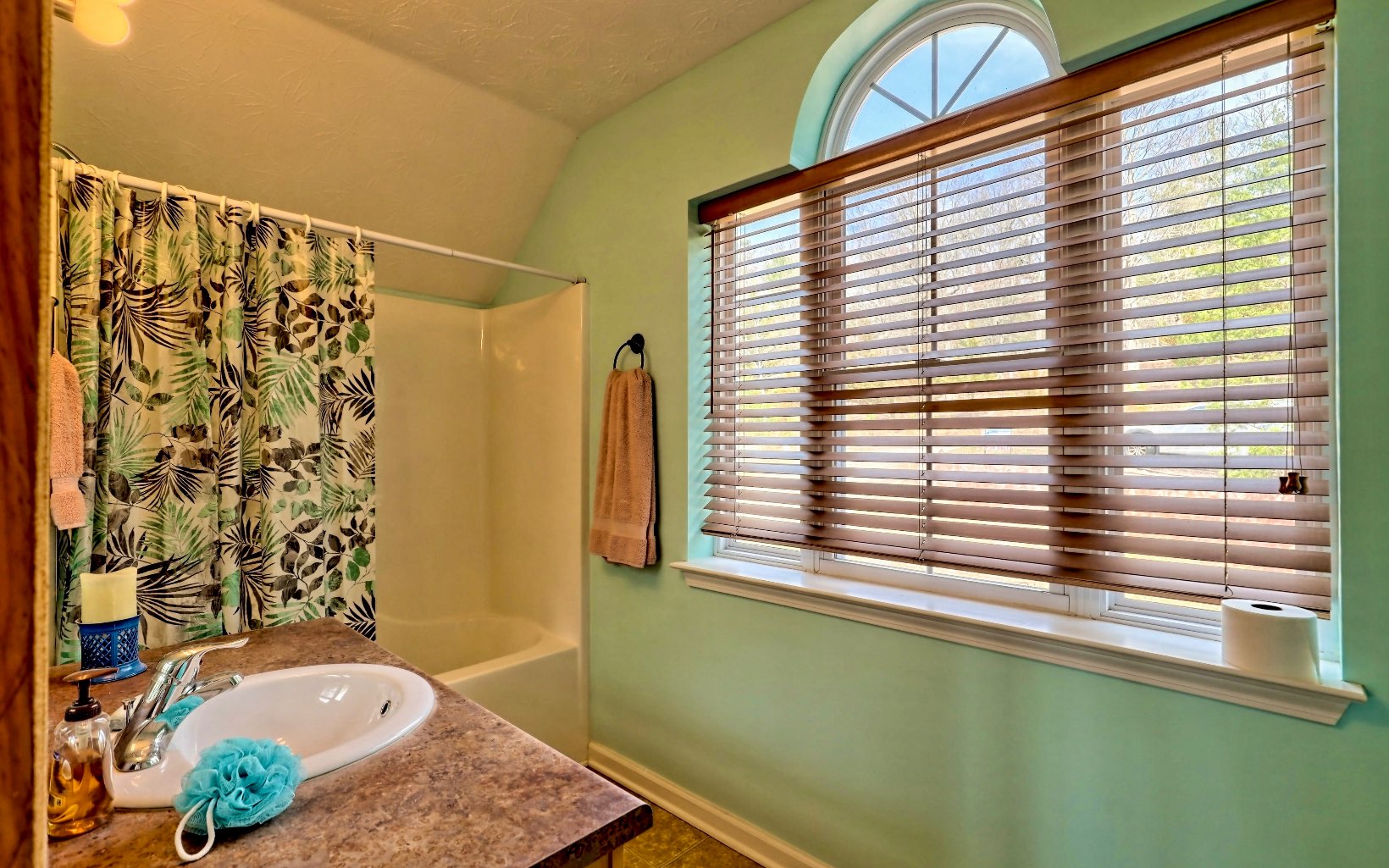 4 Dancing Trees Trail Morganton, GA 30560 - Photo 52 of 67 Additional View