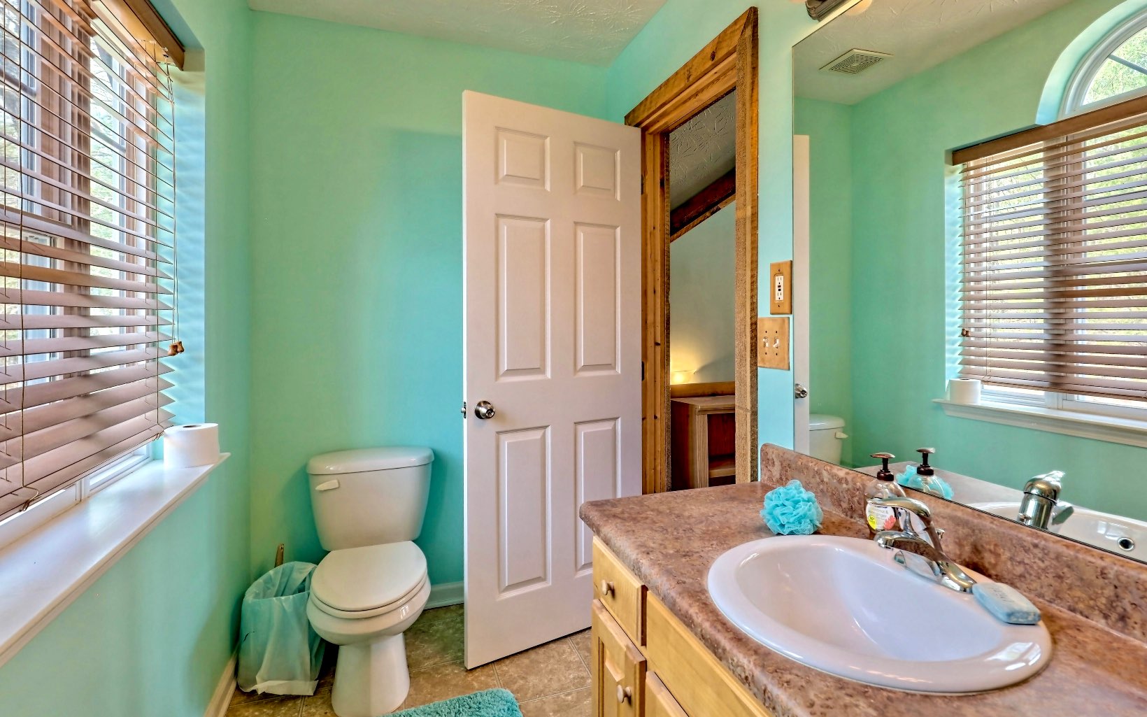 4 Dancing Trees Trail Morganton, GA 30560 - Photo 53 of 67 Additional View