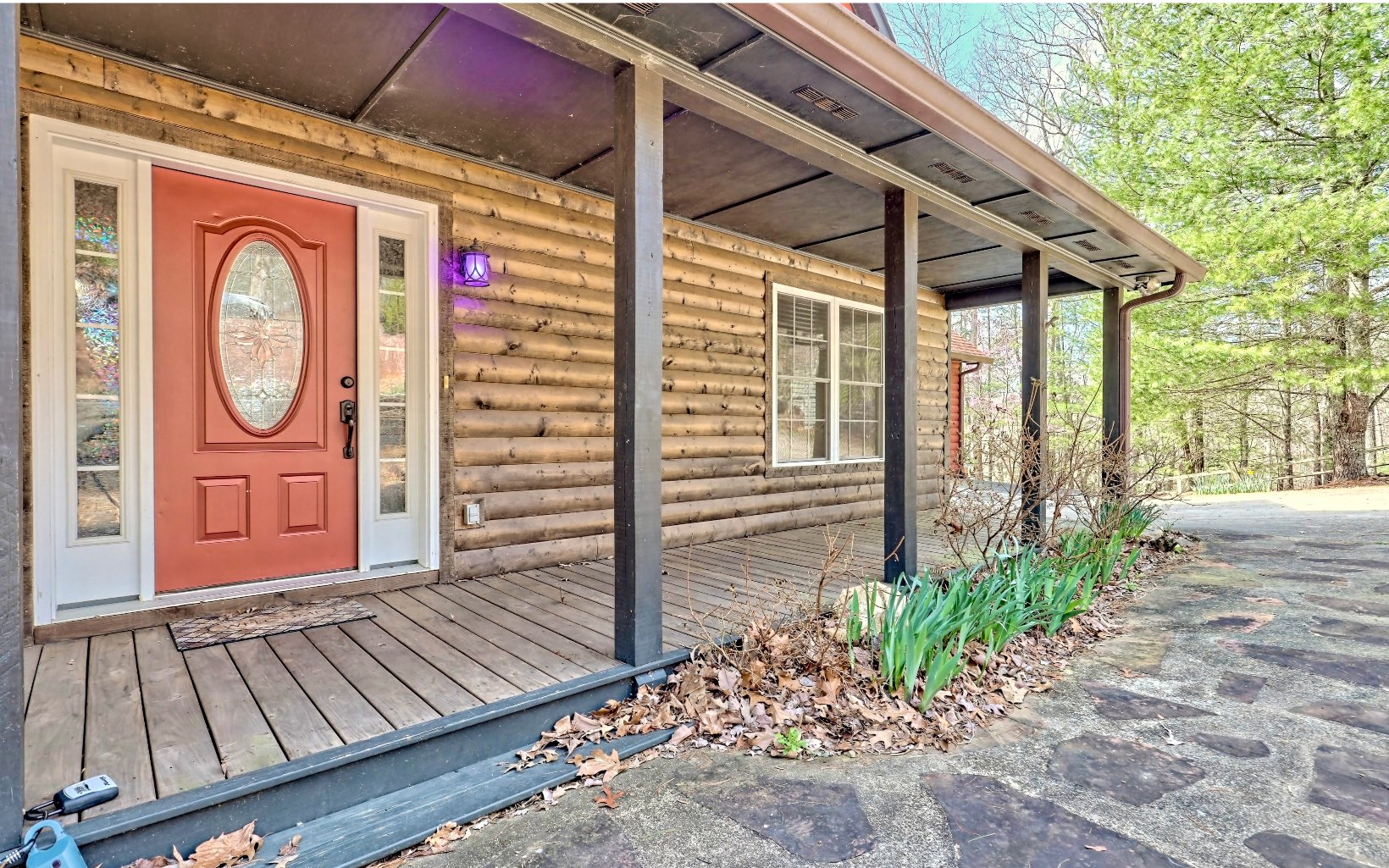 4 Dancing Trees Trail Morganton, GA 30560 - Photo 61 of 67 Additional View